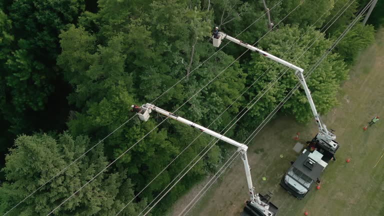 Best Arborist Consultation Services  in Atglen, PA